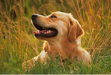 率先踏上恐怖之旅，《时间旅者：重生曙光》豪华版现已解锁