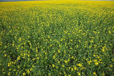 你更新了么？部分用户反馈iOS 16.1出现Wi-Fi断连问题